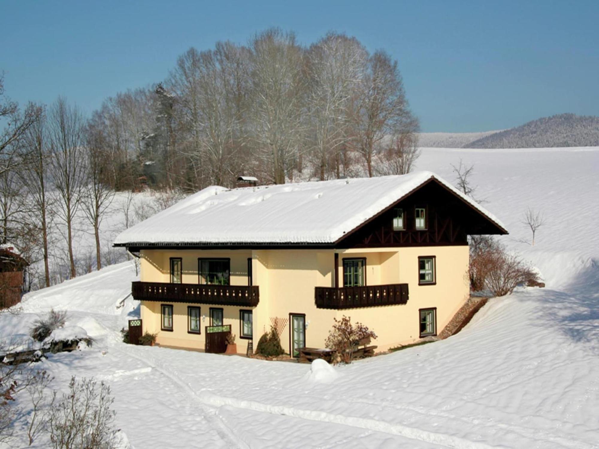 Spacious Apartment With Sauna Drachselsried Zewnętrze zdjęcie